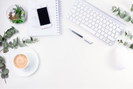 Notepad, phone and green plant