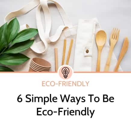 6 ways to make eco friendly choices
