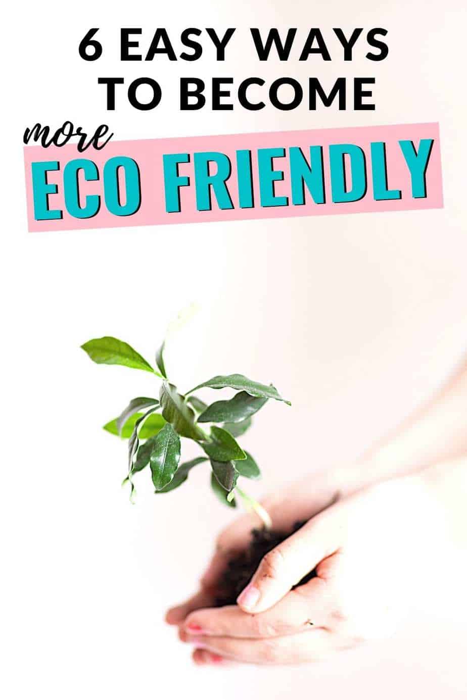 6 easy ways to become more eco friendly