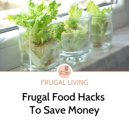 Frugal Food hacks to save money