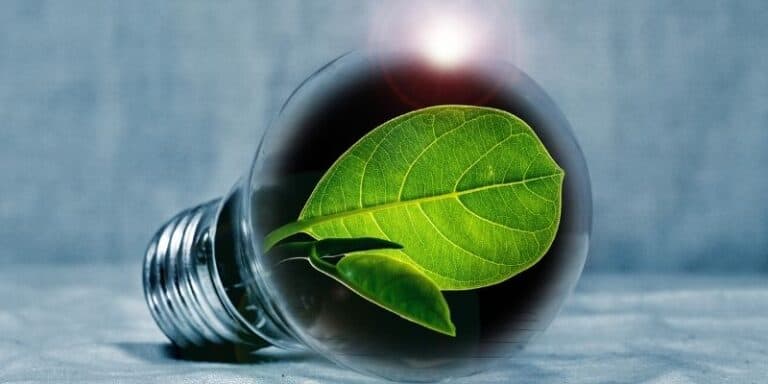 How to Reduce Your Utility Bills with an Eco-Friendly Home
