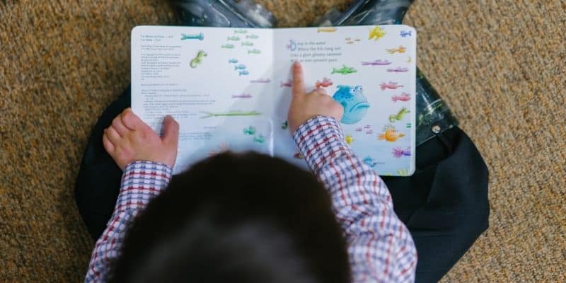 Child reading picture book